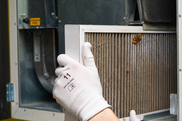 Best HVAC System Cleaning  in Thayer, MO